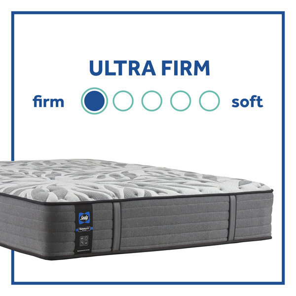 Sealy Extra Firm Tight Top Innerspring Sofa Bed Mattress and Box Spring & Reviews Wayfair